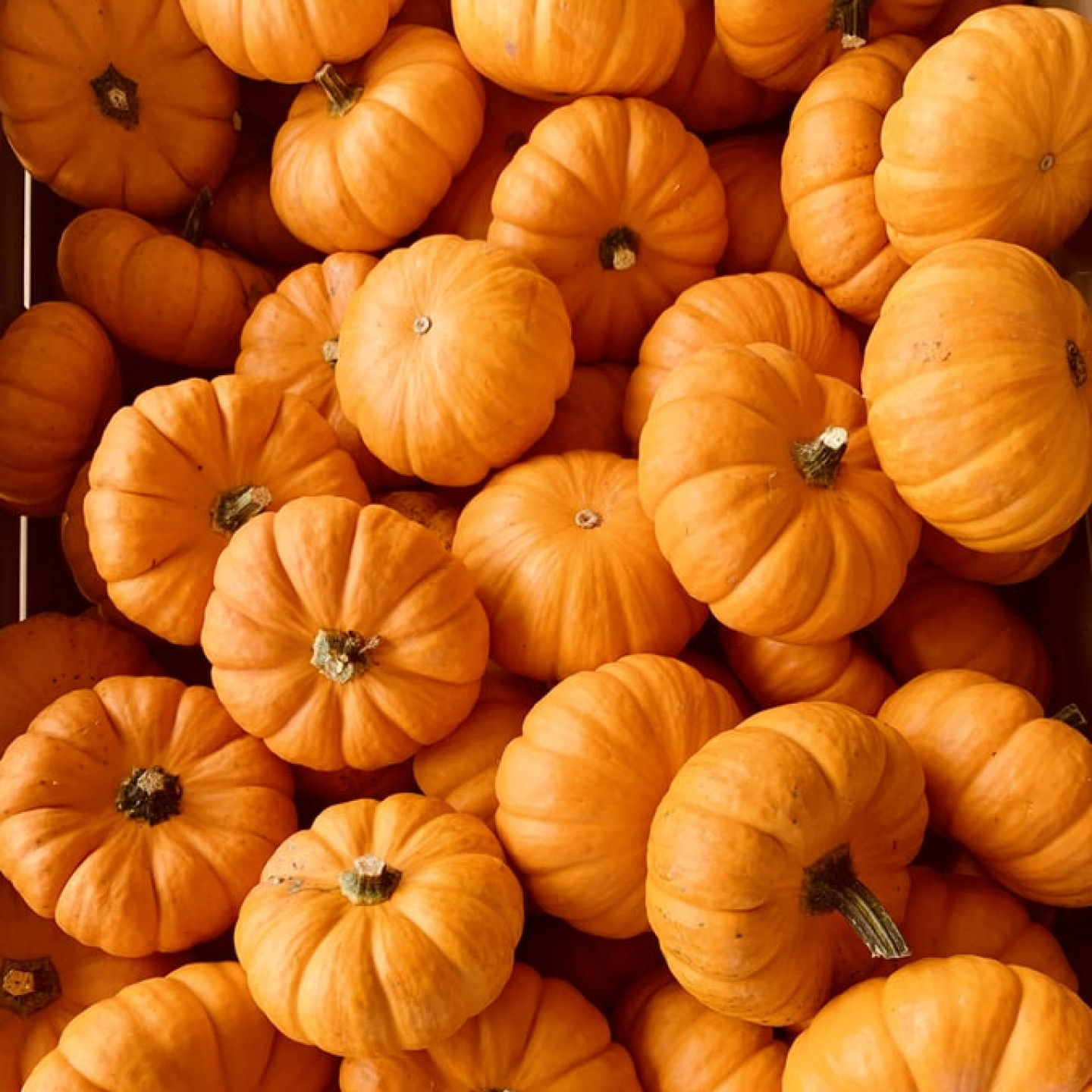 Specials | Serenity Now Massage & Facial Spa